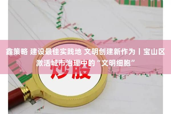 鑫策略 建设最佳实践地 文明创建新作为丨宝山区激活城市治理中的“文明细胞”